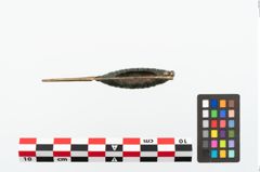 Foto von Bronzekahnfibel (NHMW-PRAE-023653)
